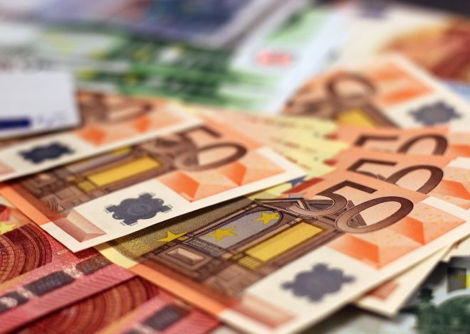L&rsquo;impact de l&rsquo;euro sur le pouvoir d&rsquo;achat des citoyens